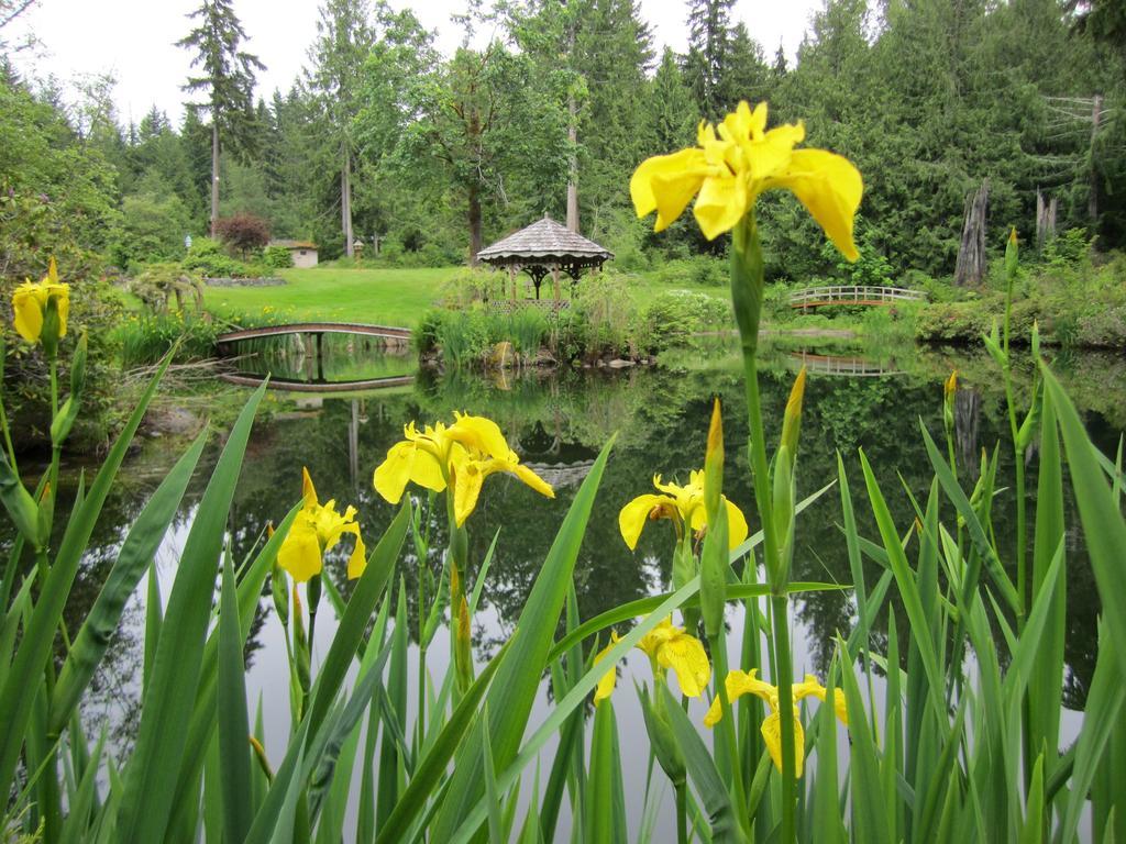 A Hidden Haven Cottages Port Angeles Exteriér fotografie