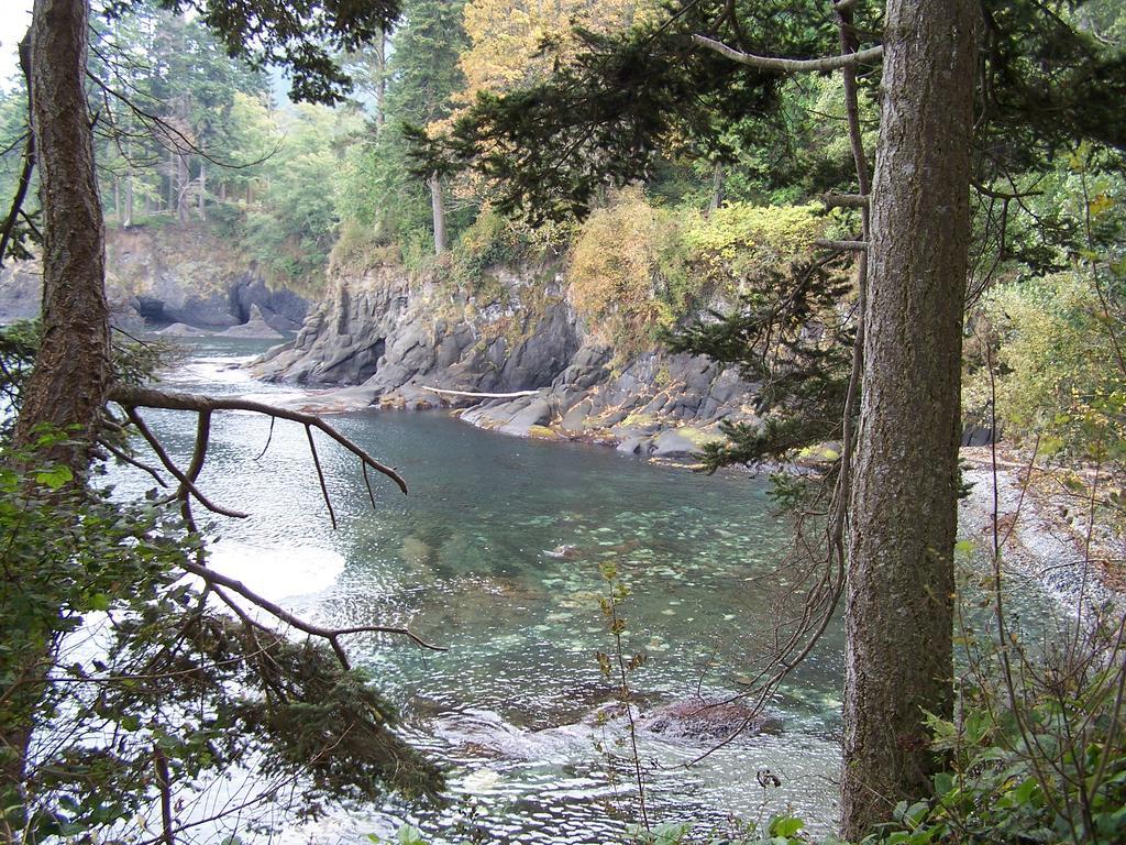 A Hidden Haven Cottages Port Angeles Exteriér fotografie