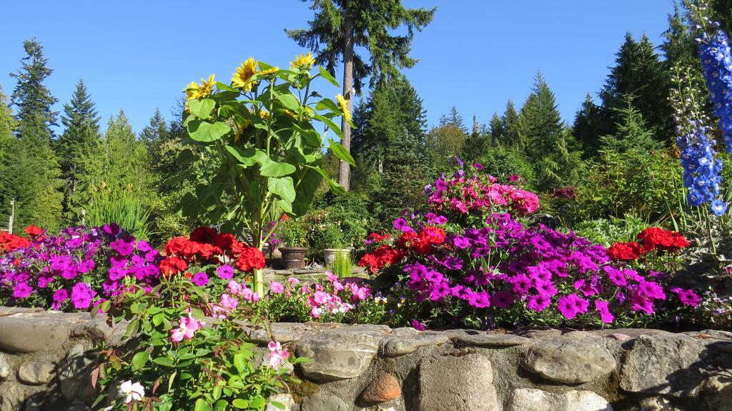 A Hidden Haven Cottages Port Angeles Exteriér fotografie