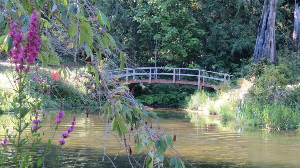 A Hidden Haven Cottages Port Angeles Exteriér fotografie