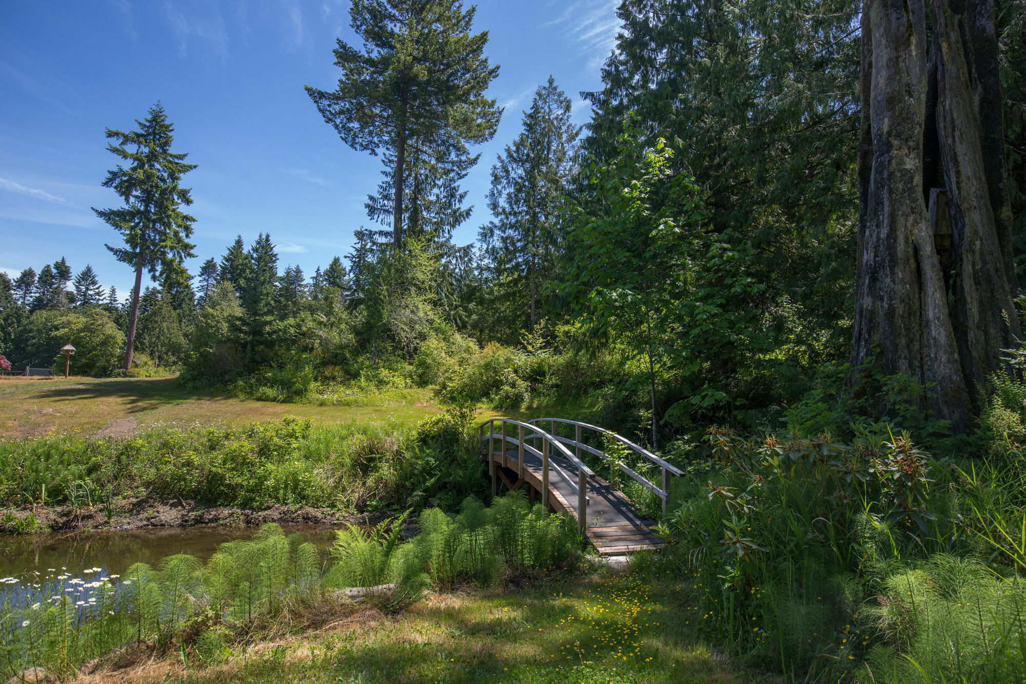 A Hidden Haven Cottages Port Angeles Exteriér fotografie