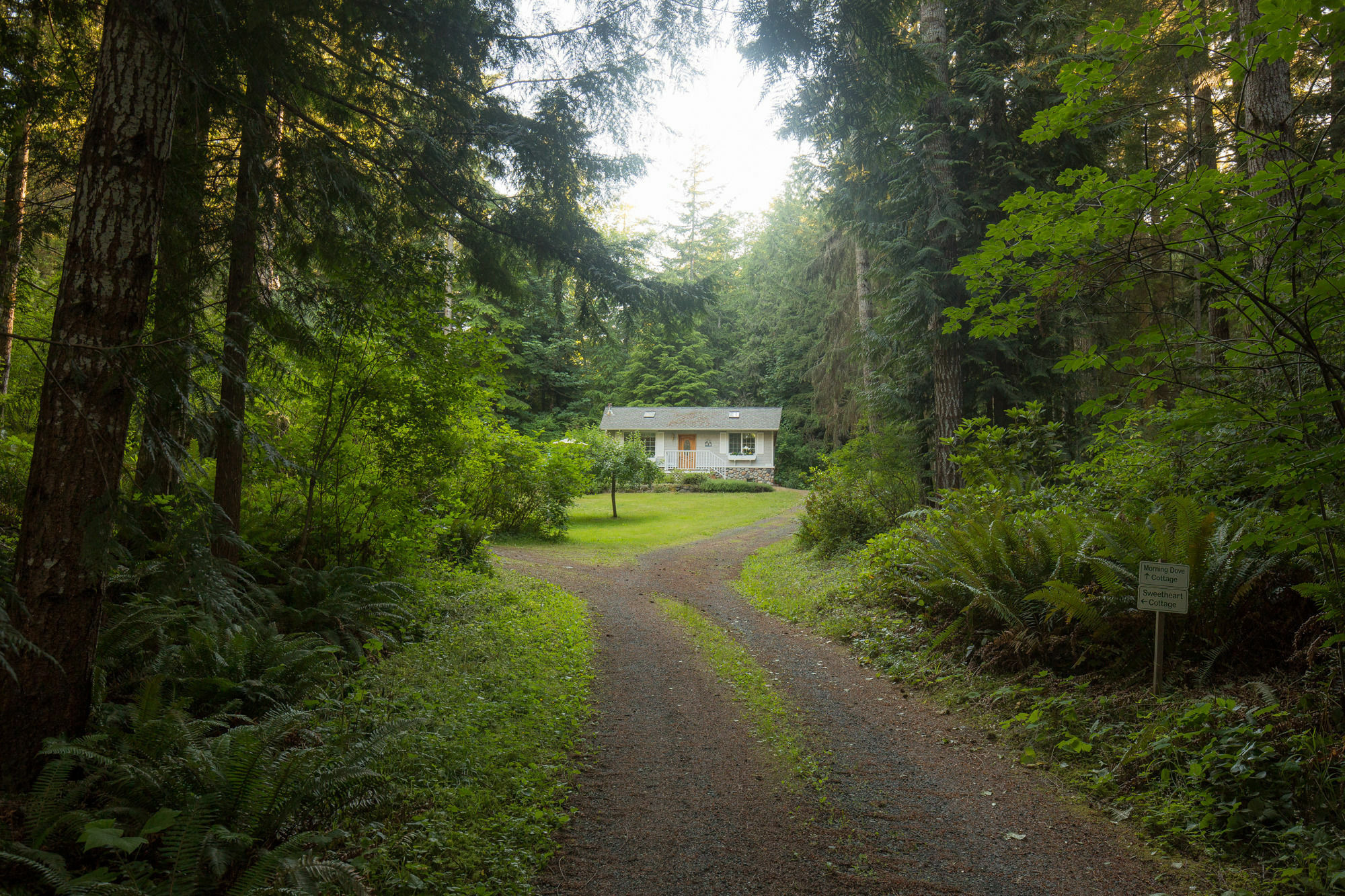 A Hidden Haven Cottages Port Angeles Exteriér fotografie