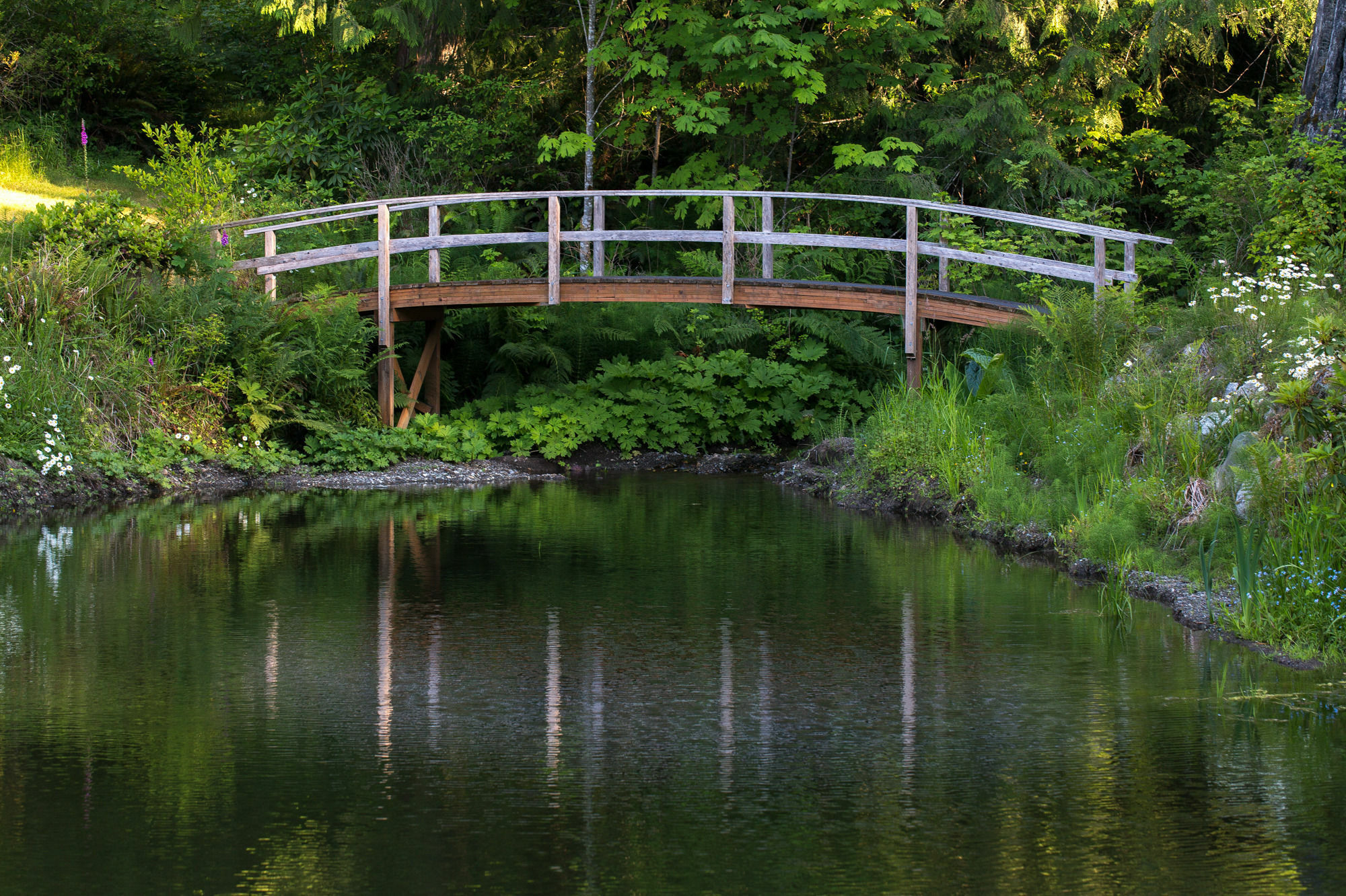 A Hidden Haven Cottages Port Angeles Exteriér fotografie