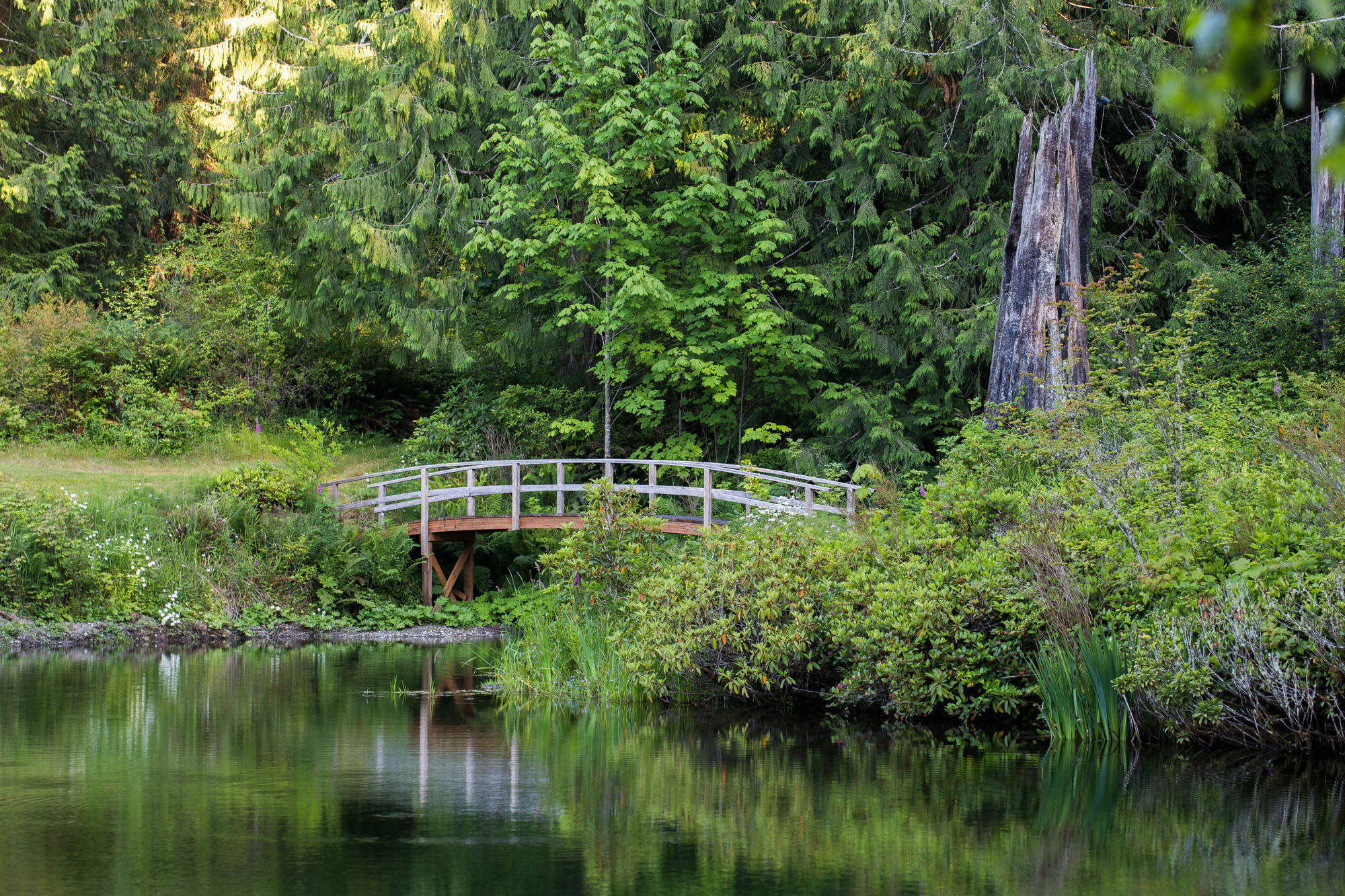 A Hidden Haven Cottages Port Angeles Exteriér fotografie